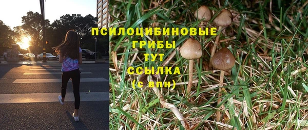 трава Баксан